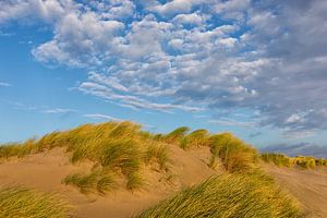 Duinen helmgras en wolken lucht  von Bram van Broekhoven