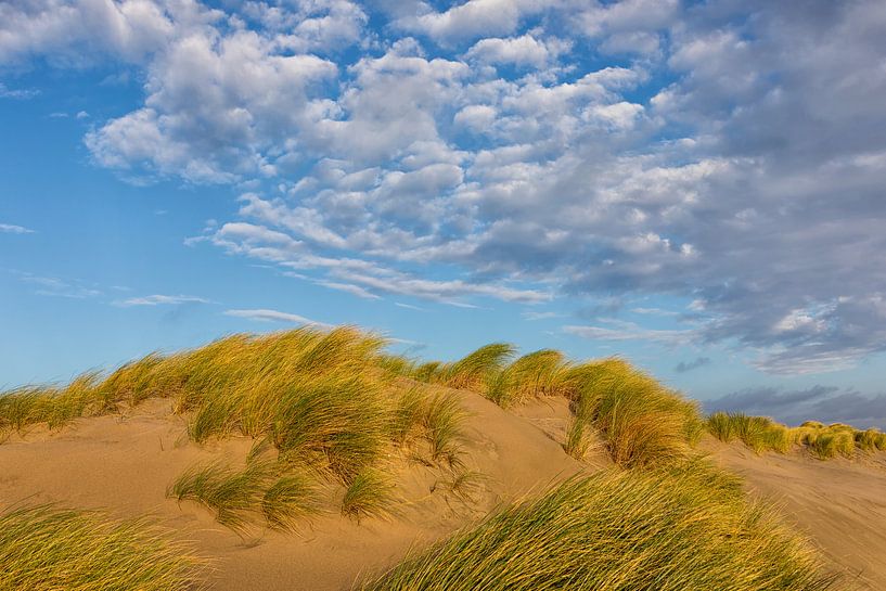 Duinen helmgras en wolken lucht  par Bram van Broekhoven