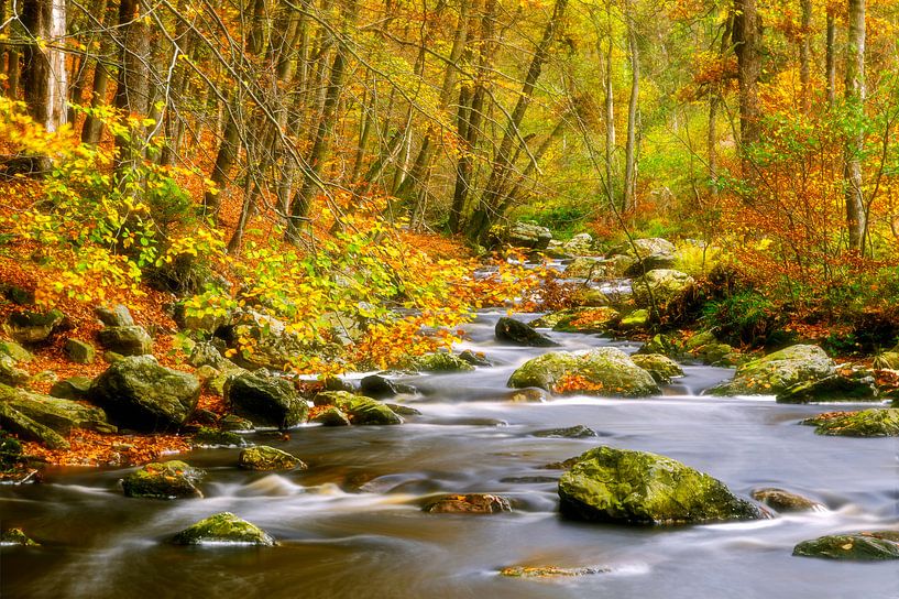 Autumn stream by Karla Leeftink