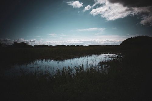 Marshland in Ameland