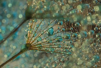 Turqouise Abstractie: Vanaf de binnenkant van de pluizenbol