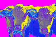 Vrolijk popart beeld van drie koeien van Atelier Liesjes thumbnail