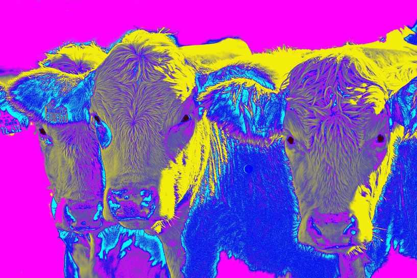 Vrolijk popart beeld van drie koeien van Atelier Liesjes