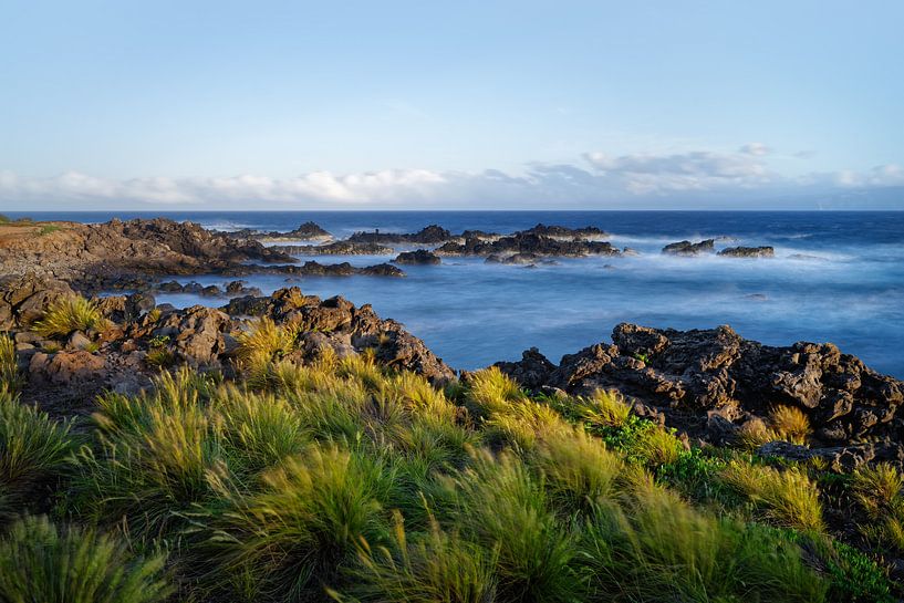 Plage rocheuse avec de l'eau et de l'herbe par vent fort par Ralf Lehmann