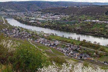 Panoramisch uitzicht op het Moezeldal met de dorpen Bernkastel-Kues en Graach van Reiner Conrad