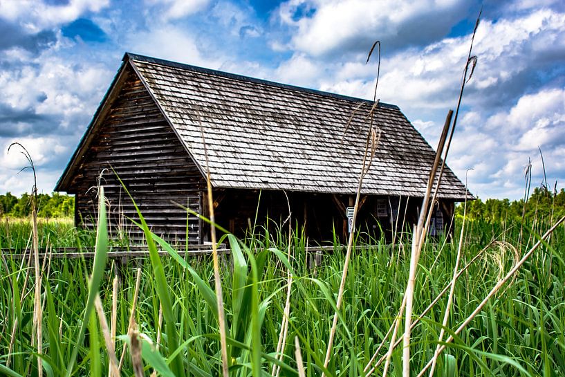 Bad Buchau : Der Federsee von Photoart-Naegele