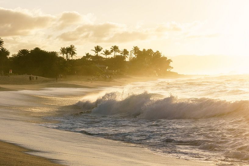Vague de la côte nord par road to aloha