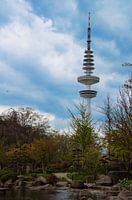 Harmony of contrasts: The Japanese Garden and the Heinrich Hertz Tower in Planten un Blomen