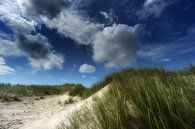 In the dunes by Joachim Neumann thumbnail