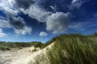 In de duinen