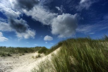 In the dunes by Joachim Neumann