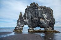 Hvitserkur in Island von Menno Schaefer Miniaturansicht