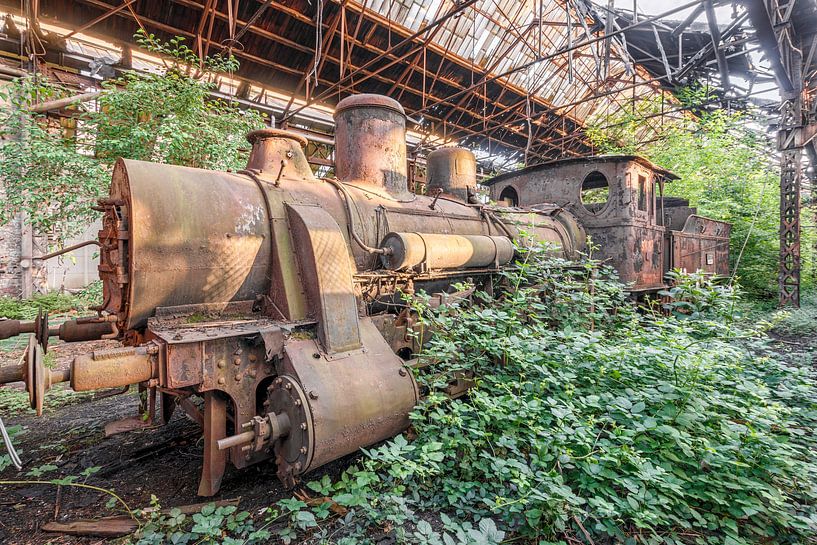 Verloren plaats - Verlaten locomotieven in het Oostblok van Gentleman of Decay