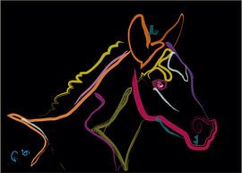Foal Color Filly by Go van Kampen