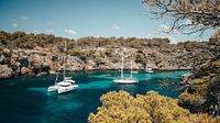 Cala pi, Bucht auf Mallorca