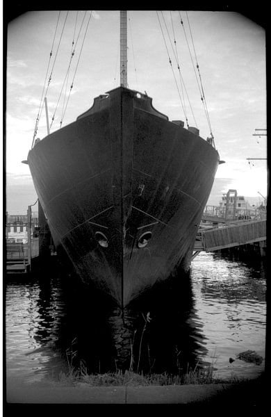 La beauté est partout par De Analoog