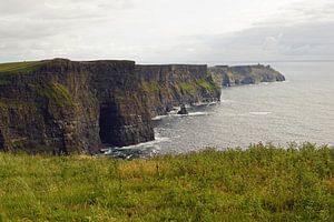 Cliff's of Moher - Irland