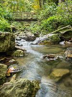 Cascade Müllerthal Luxembourg