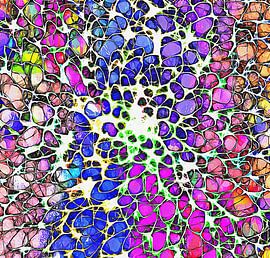 Kristallen mijmeringen 1 van Dorothy Berry-Lound