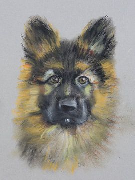 Schäferhund Portrait | Deutscher Schäferhund von Henriëtte Mosselman