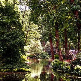 Forest (Botanischer Garten in Bremen) by Andreas Wemmje