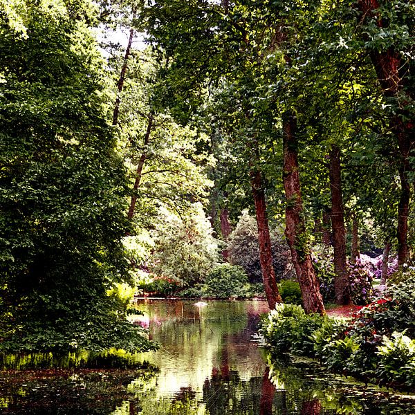 Forest (Botanischer Garten in Bremen) van Andreas Wemmje