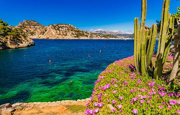 Idyllic view of Port de Andratx bay coast, Mallorca Spain by Alex Winter