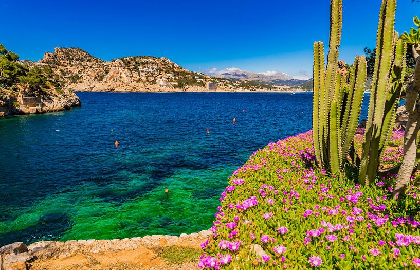 Idyllischer Blick auf die Küste der Bucht von Port de Andratx, Mallorca Spanien von Alex Winter