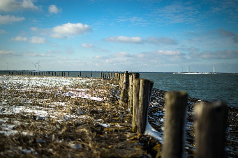 kamperland, zeeland par Michel Koenes