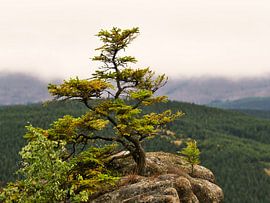 Rabenklippe (Raven Cliff) by Jörg Hausmann