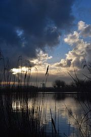 Goedemorgen Nederland! van Cora Stout