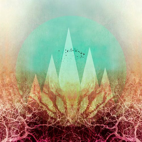 TREES under MAGIC MOUNTAINS VI