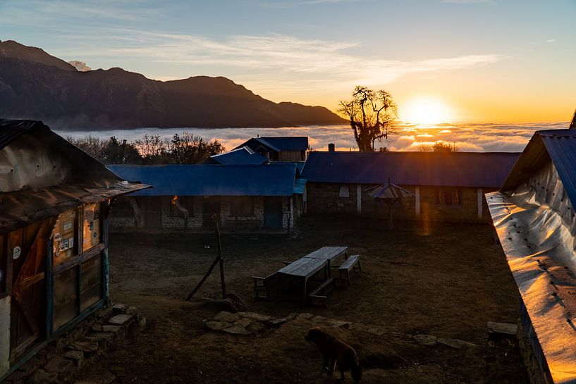 Sonnenaufgang im Flachlager des Mardi-Himal-Trekkings in Nepal von Twan Bankers