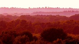 Red-Fields 2 (Paysage en tons de rouge) sur Caroline Lichthart