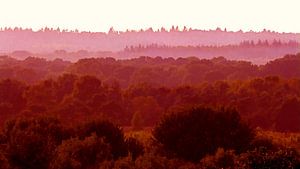 Landschaft in Rot 2
