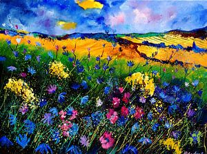 cornflowers
