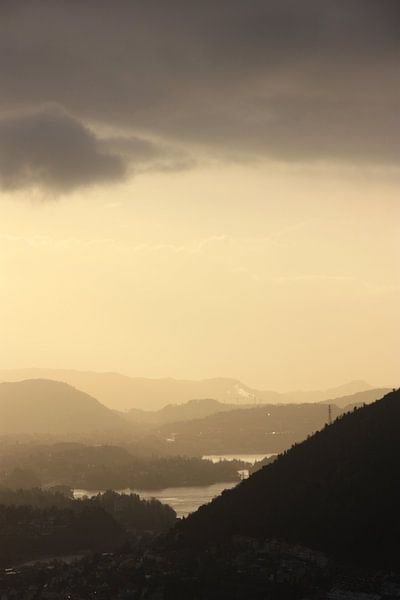 Norway Bergen. by Brenda van der Hoek