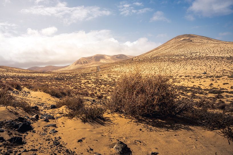 A car in a desert of sand by Renato Dehnhardt