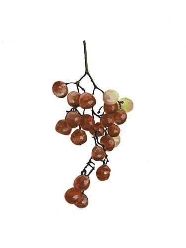 Red Peppercorns Collection II