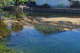 Clear flowing river by Cor Pater