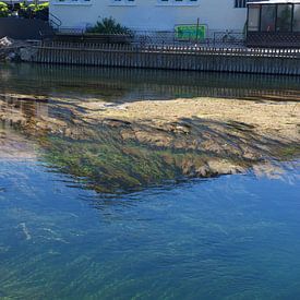 Klar fließender Fluss von Cor Pater