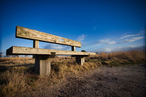 Bankje op de Strabrechtse heide