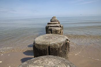 Buhnen Ostsee Natur
