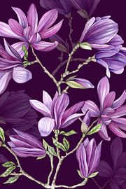 Magnolia branches spring purple by Geertje Burgers