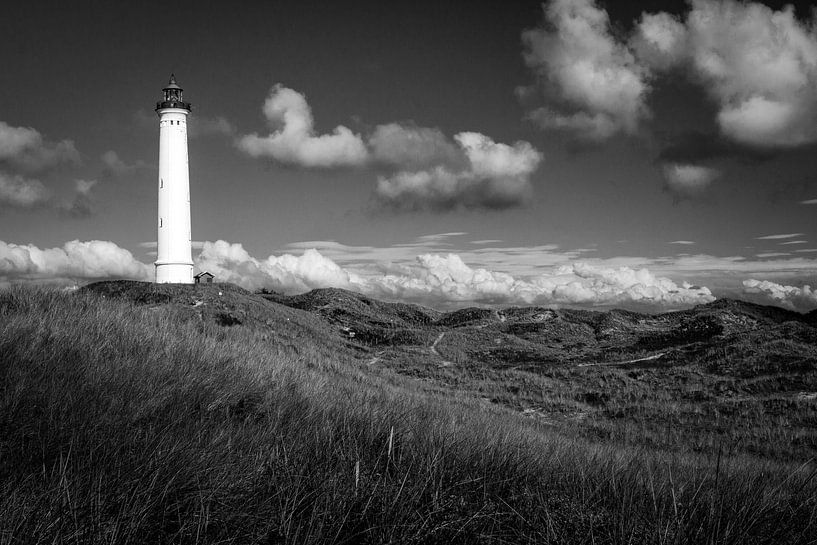 Lighthouse with landscape in Denmark by Evelien Oerlemans