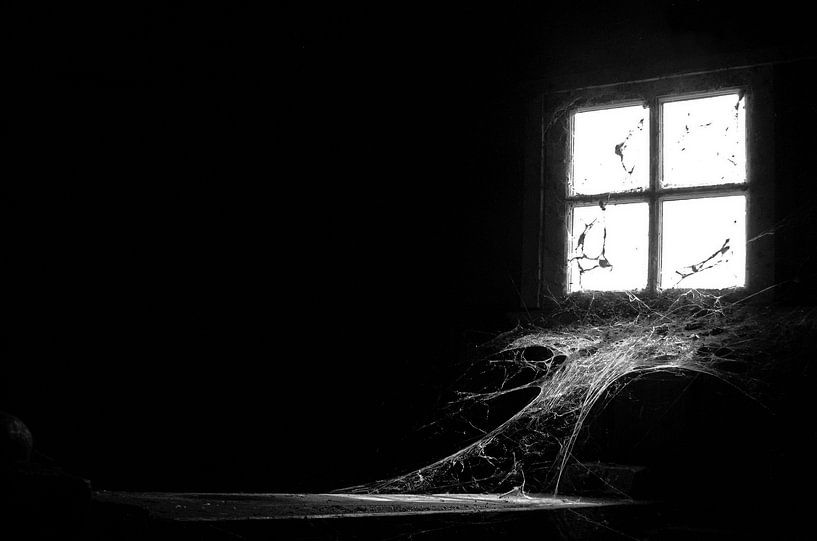 Spinnenweb aan een raam boven in een molen by Leo Huijzer