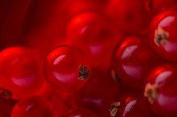 Bessen, alleen maar bessen