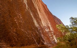 Kata Tjuta by Pieter van der Zweep