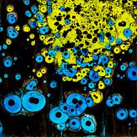 Parallel Universes 1of2