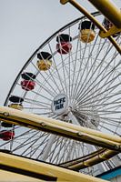 Grande roue Pacific Park